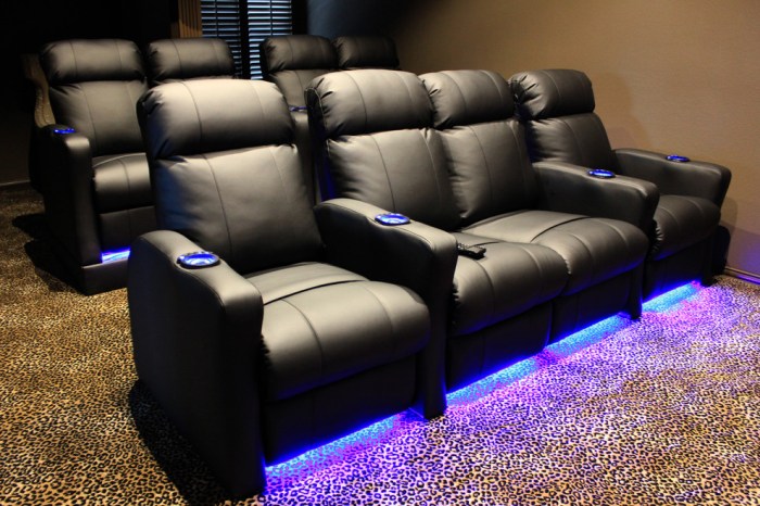 Theater seating riser room row sale living chairs houzz back small built dallas theaters space
